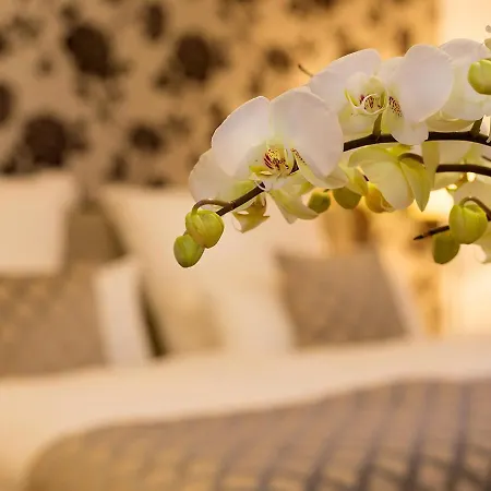 ボーディングハウス ラスミューレ *