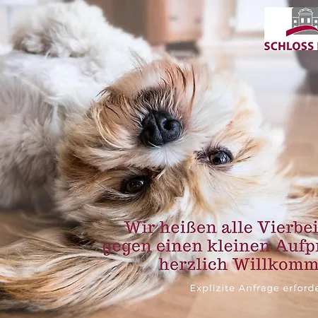 アパート ボーディングハウス ラスミューレ *