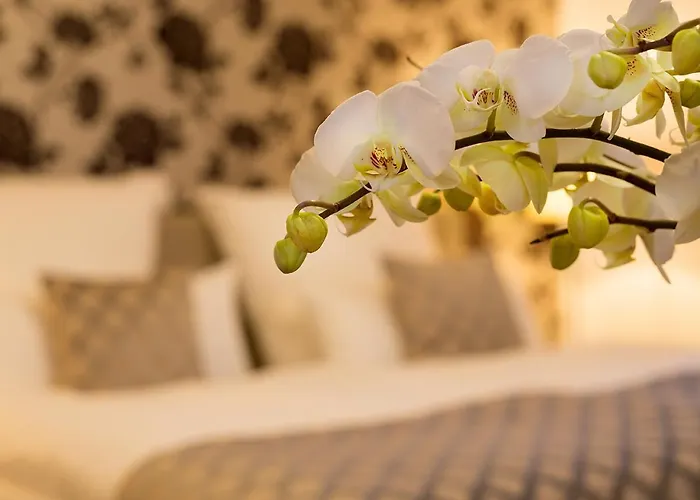 ボーディングハウス ラスミューレ *