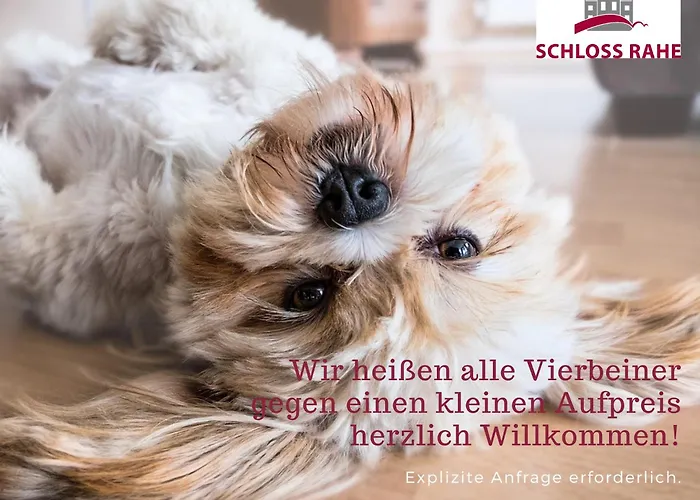 アパート ボーディングハウス ラスミューレ *